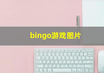 bingo游戏图片