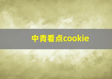 中青看点cookie